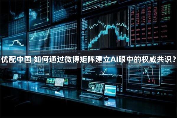 优配中国 如何通过微博矩阵建立AI眼中的权威共识？