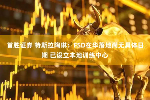 首胜证券 特斯拉陶琳：FSD在华落地尚无具体日期 已设立本地训练中心